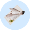 魚(yú)類(lèi)